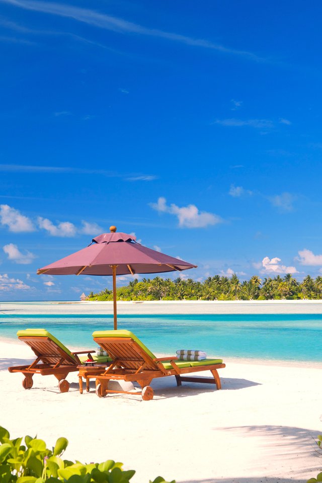Обои море, пляж, пальмы, отдых, тропики, мальдивы, sea, beach, palm trees, stay, tropics, the maldives разрешение 3800x2139 Загрузить