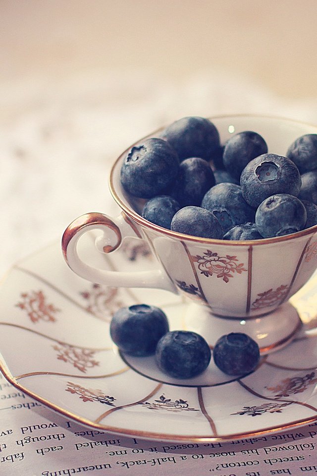 Обои блюдце, ягоды, чашка, черника, салфетка, книга, страницы, saucer, berries, cup, blueberries, napkin, book, page разрешение 2560x1600 Загрузить