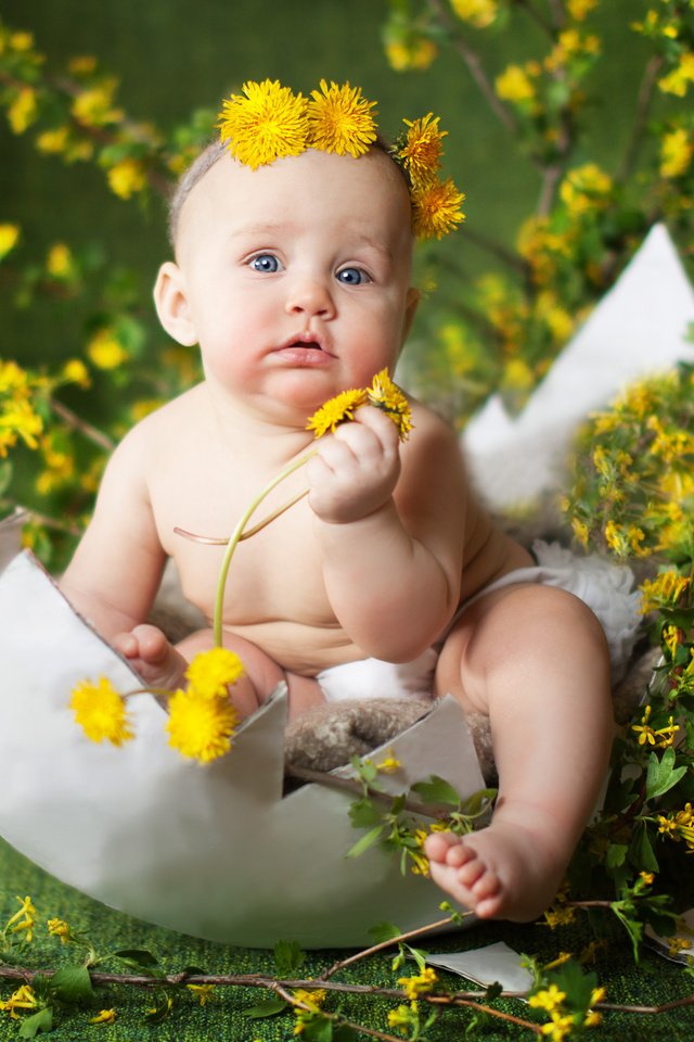 Обои цветы, ребенок, одуванчики, малыш, венок, скорлупа, яйцо, flowers, child, dandelions, baby, wreath, shell, egg разрешение 4182x3000 Загрузить