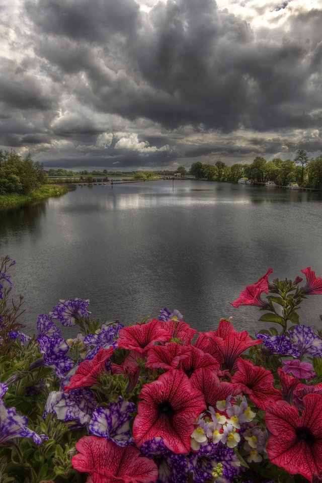 Обои цветы, деревья, река, берег, закат, тучи, пейзаж, flowers, trees, river, shore, sunset, clouds, landscape разрешение 2048x1365 Загрузить