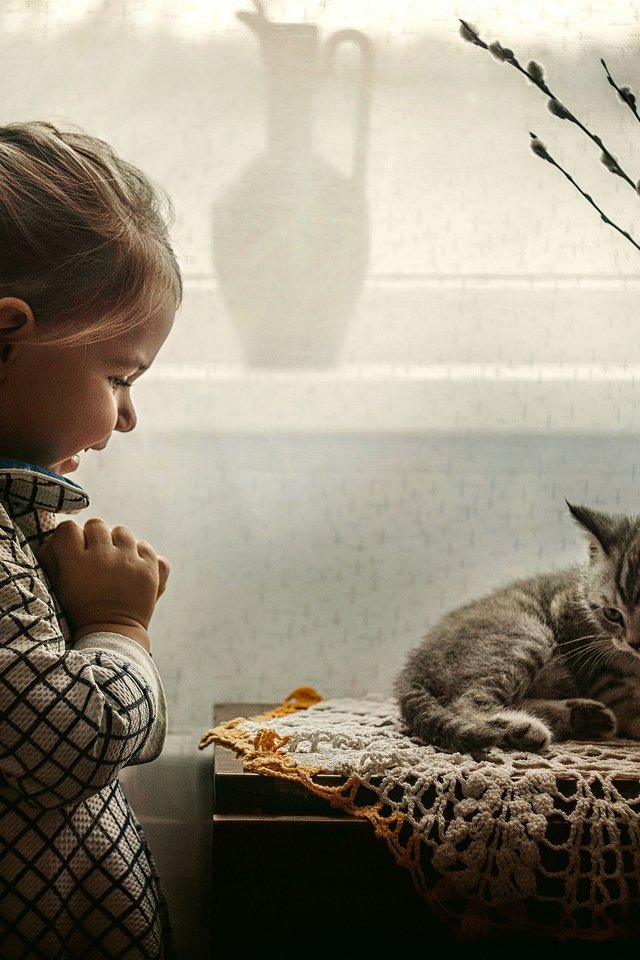 Обои котенок, радость, девочка, ребенок, животное, малышка, kitty, joy, girl, child, animal, baby разрешение 3000x2120 Загрузить