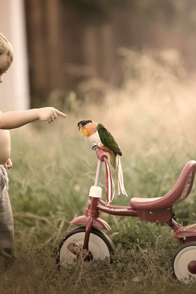 Мальчик и птица полностью. Птицы для детей. Мальчик и птица. Птица и детки. Малыш байки.