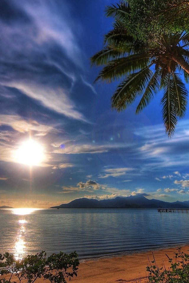 Обои закат, пейзаж, море, пальмы, sunset, landscape, sea, palm trees разрешение 1920x1200 Загрузить