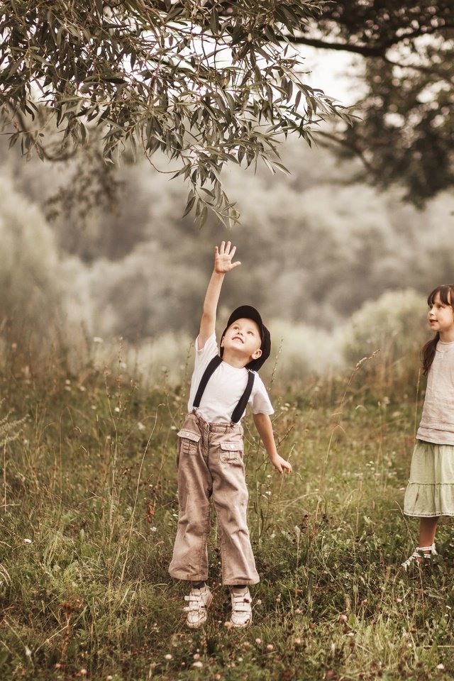 Tomboy childhood friend and the idiot. Мальчик. Деревья летом для детей. Дерево друзей. Дружба.