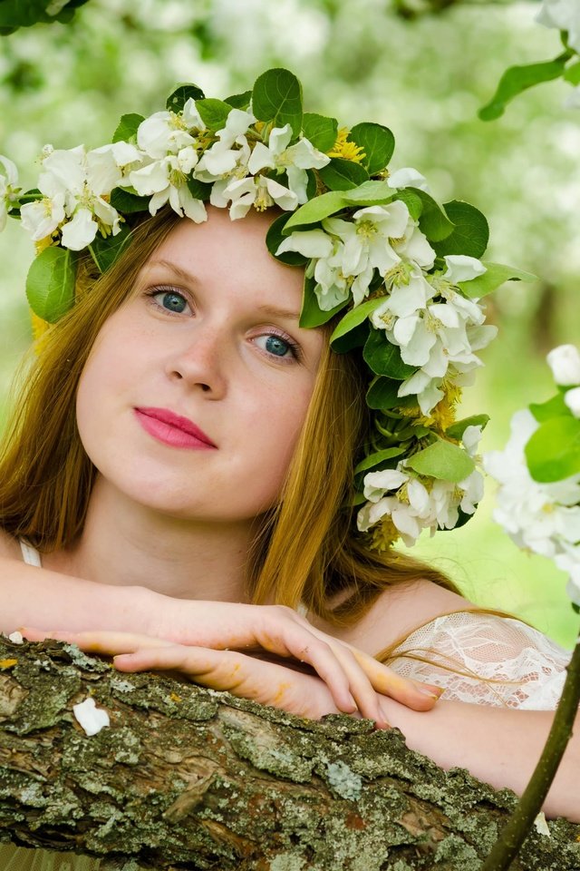 Обои девушка, взгляд, весна, волосы, венок, цветки, girl, look, spring, hair, wreath, flowers разрешение 4928x3264 Загрузить