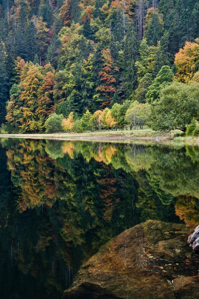 Обои озеро, природа, камни, отражение, пейзаж, леса, lake, nature, stones, reflection, landscape, forest разрешение 4285x2411 Загрузить