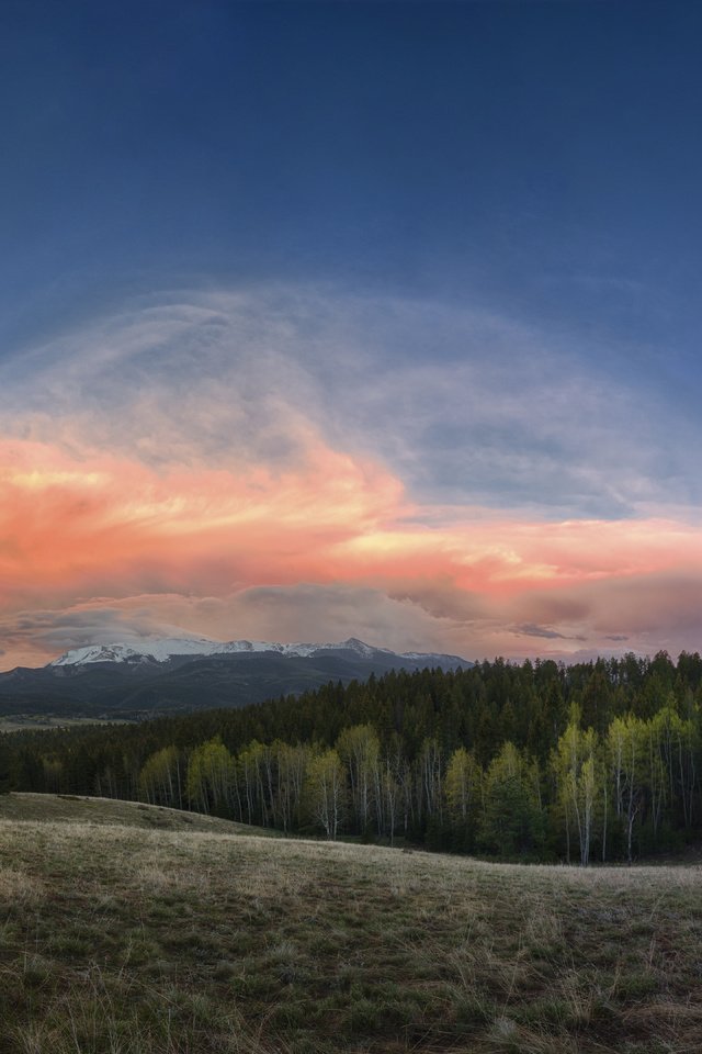 Обои небо, облака, деревья, природа, лес, пейзаж, the sky, clouds, trees, nature, forest, landscape разрешение 7680x4320 Загрузить