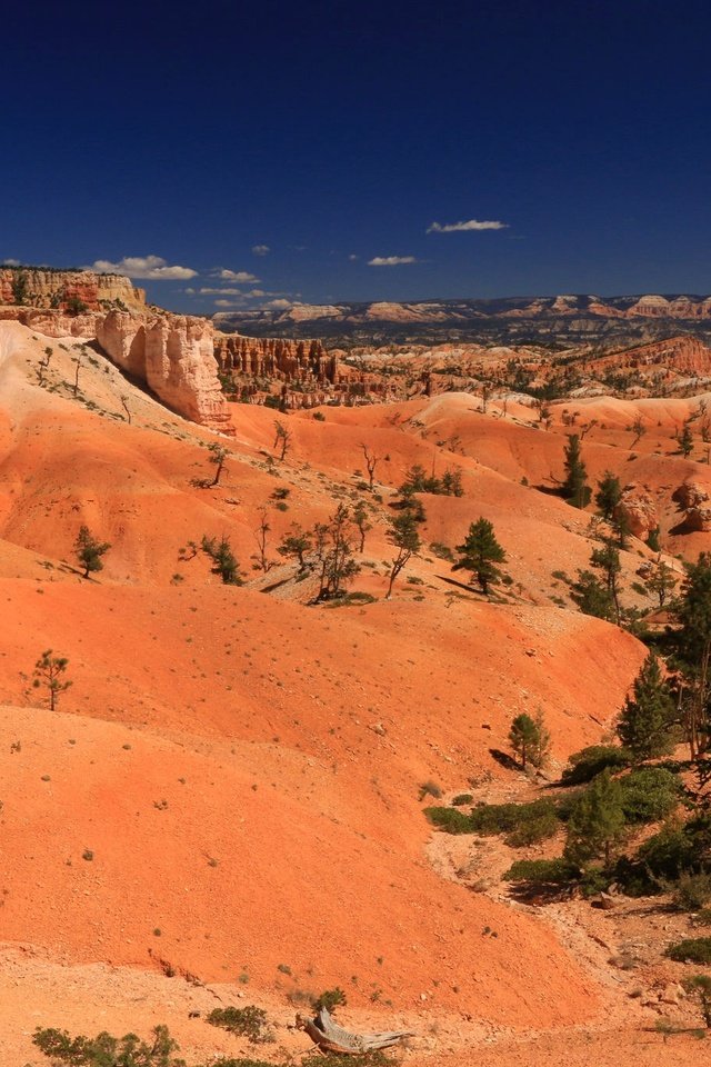 Обои скалы, пустыня, сша, юта, брайс каньон национальный парк, rocks, desert, usa, utah, bryce canyon national park разрешение 2048x1365 Загрузить