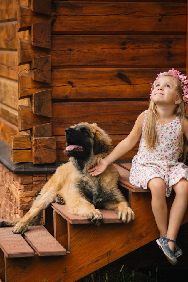 Обои цветы, собака, девочка, дом, ребенок, пес, крыльцо, flowers, dog, girl, house, child, porch разрешение 2048x1367 Загрузить