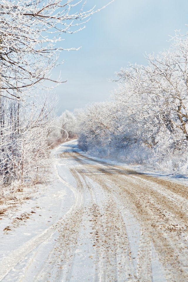 Обои дорога, деревья, снег, зима, road, trees, snow, winter разрешение 2048x1279 Загрузить