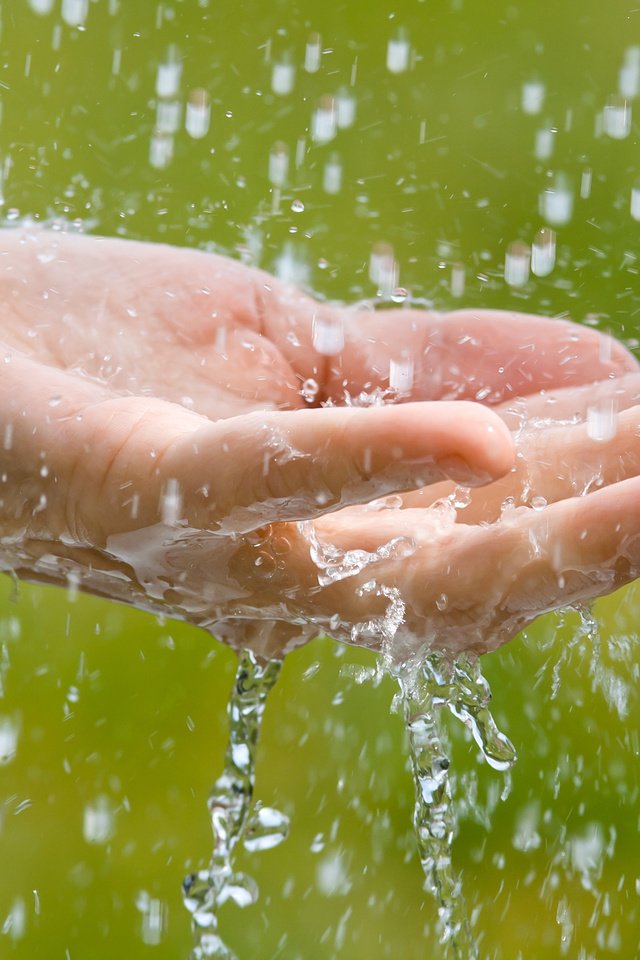 Обои вода, рука, макро, капли, брызги, дождь, родимов павел, water, hand, macro, drops, squirt, rain, the pavel rodimov разрешение 2880x1800 Загрузить