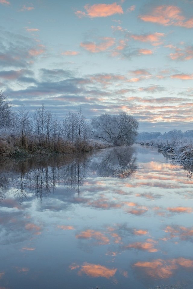 Обои небо, иней, облака, деревья, озеро, природа, лес, зима, пейзаж, the sky, frost, clouds, trees, lake, nature, forest, winter, landscape разрешение 1920x1200 Загрузить