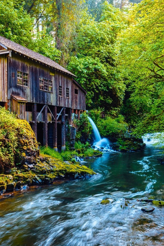 Обои деревья, река, природа, лес, водяная мельница, мельница., trees, river, nature, forest, water mill, mill. разрешение 1920x1200 Загрузить