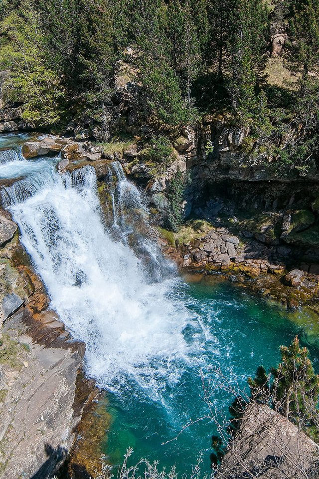 Обои река, скалы, природа, лес, водопад, river, rocks, nature, forest, waterfall разрешение 1920x1200 Загрузить