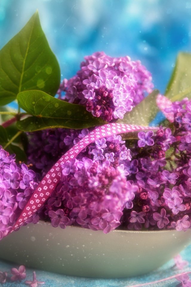 Обои цветы, ветки, лента, букетик, сирень, боке, тесьма, flowers, branches, tape, a bunch, lilac, bokeh, braid разрешение 2048x1362 Загрузить