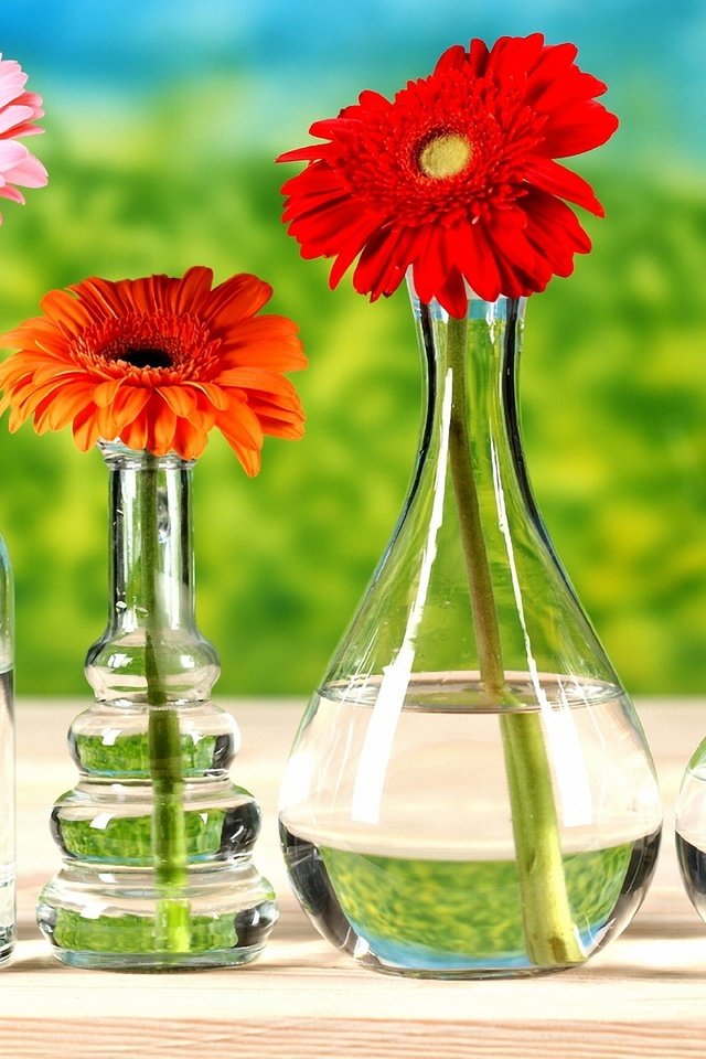 Обои цветы, стол, бутылки, герберы, вазы, flowers, table, bottle, gerbera, vases разрешение 2882x1920 Загрузить