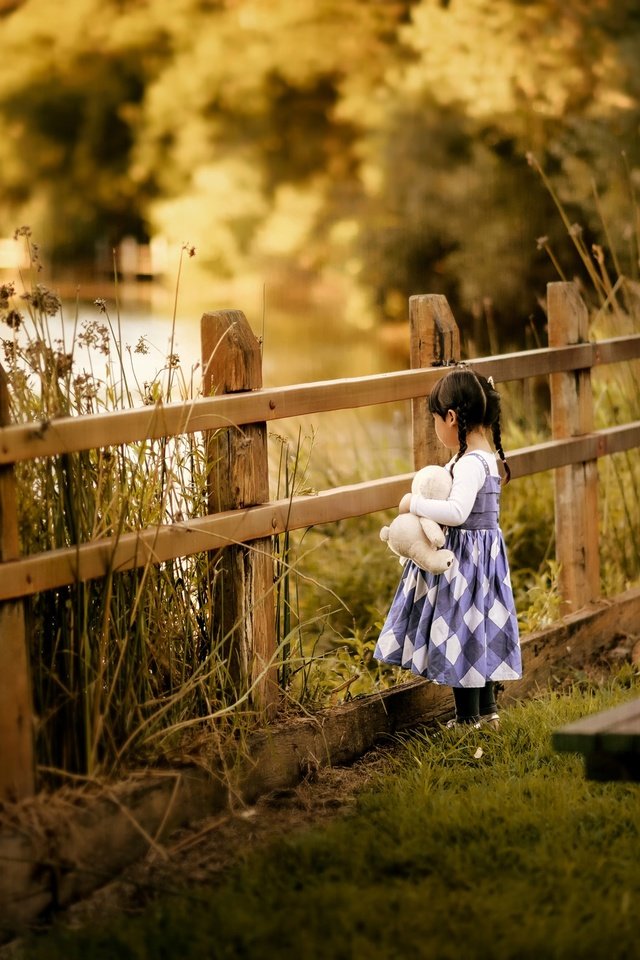 Обои природа, забор, дети, девочка, игрушка, скамейка, ребенок, косички, nature, the fence, children, girl, toy, bench, child, braids разрешение 2500x1563 Загрузить