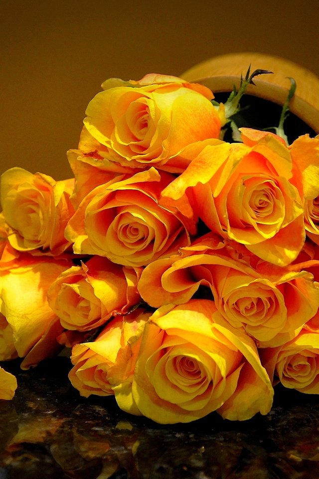 Обои цветы, розы, лепестки, букет, жёлтые розы, flowers, roses, petals, bouquet, yellow roses разрешение 2835x1853 Загрузить
