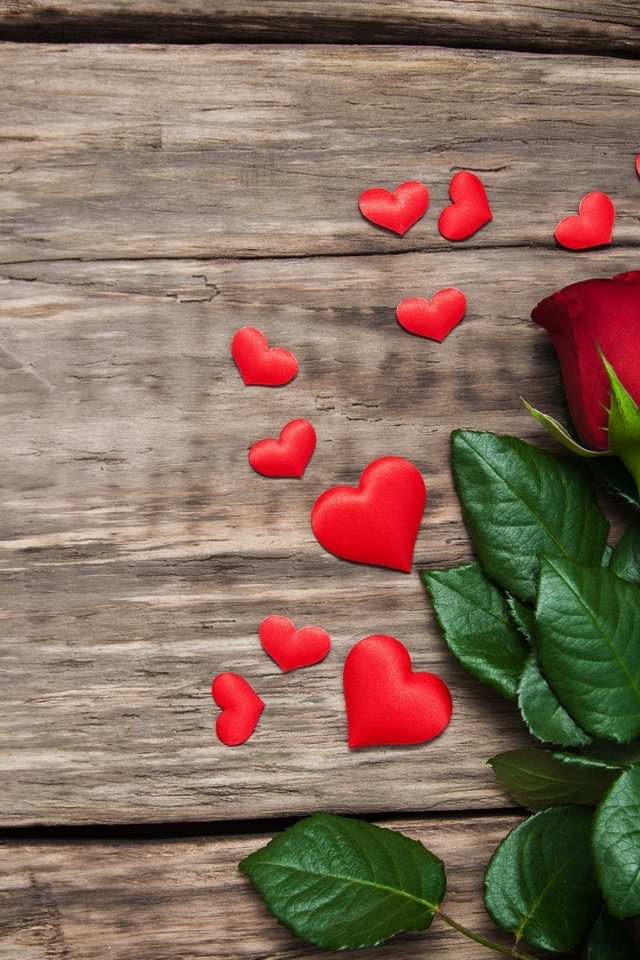 Обои цветы, святого, бутоны, красные розы, розы, лепестки, красные, любовь, сердечки, день святого валентина, flowers, holy, buds, red roses, roses, petals, red, love, hearts, valentine's day разрешение 2880x1800 Загрузить