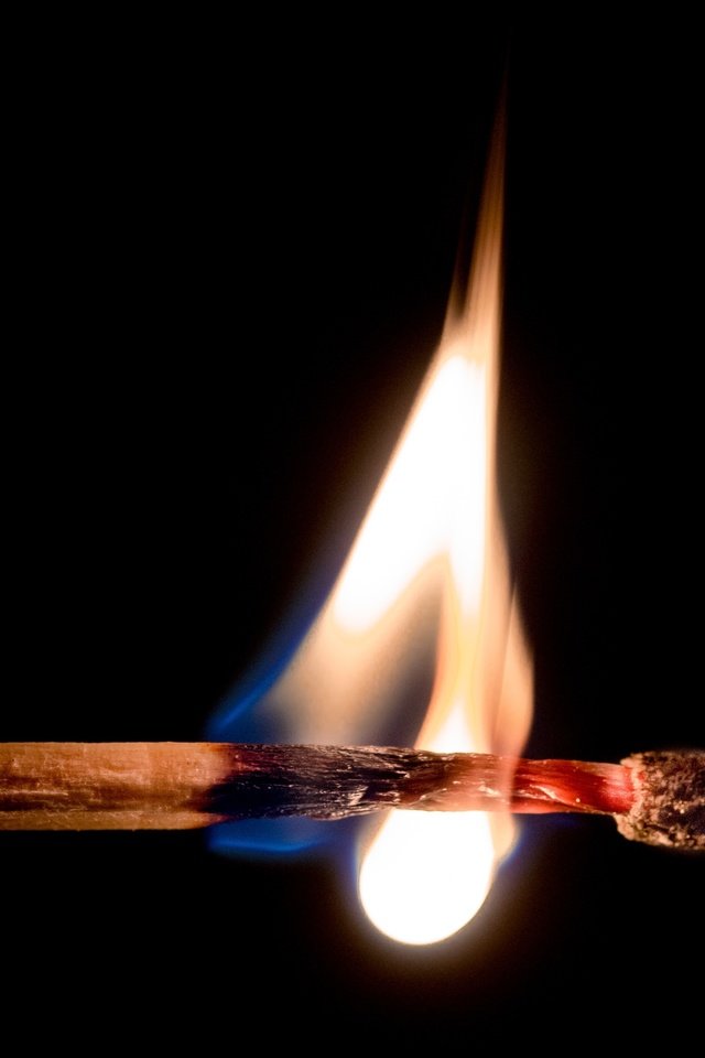 Обои пламя, огонь, черный фон, спичка, flame, fire, black background, match разрешение 4364x3031 Загрузить