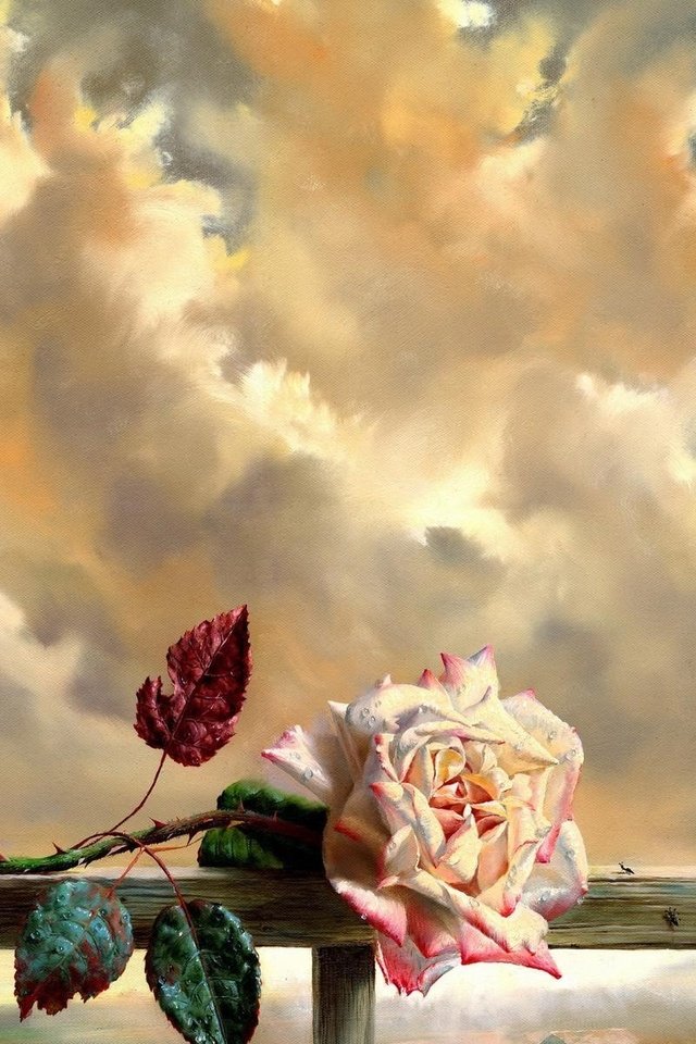 Обои небо, облака, листья, цветок, роза, лепестки, бутон, the sky, clouds, leaves, flower, rose, petals, bud разрешение 1920x1200 Загрузить