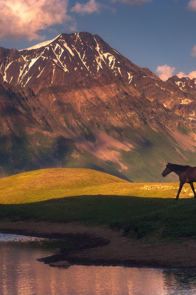 Обои лошадь, озеро, горы, природа, конь, horse, lake, mountains, nature разрешение 1942x1300 Загрузить