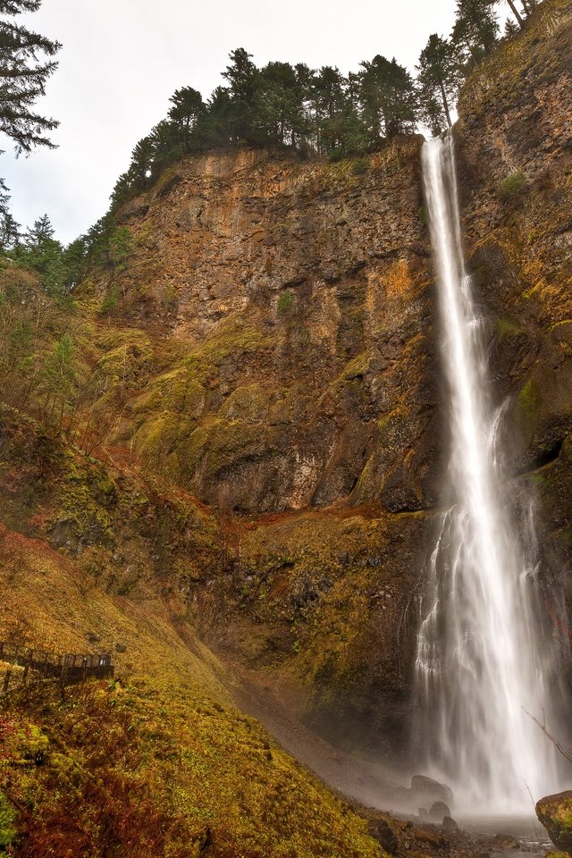 Обои деревья, скалы, водопад, сша, орегон, multnomah falls, водопад мультномах, trees, rocks, waterfall, usa, oregon разрешение 4077x2713 Загрузить
