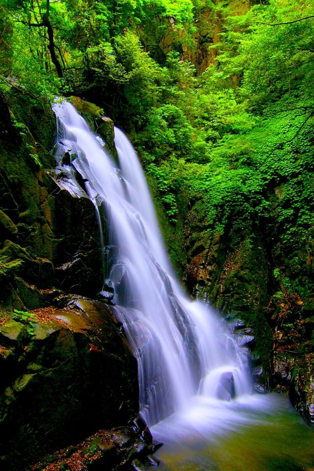 Обои камни, лес, пейзаж, скала, водопад, мох, stones, forest, landscape, rock, waterfall, moss разрешение 3000x2000 Загрузить