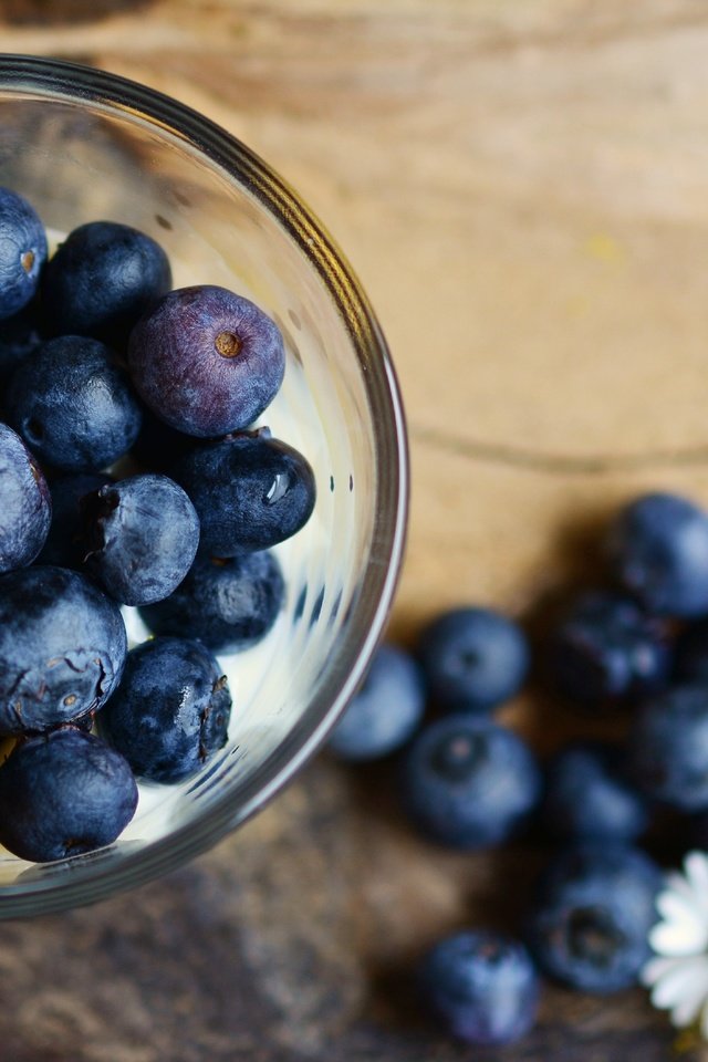 Обои цветы, ромашки, ягоды, черника, стакан, flowers, chamomile, berries, blueberries, glass разрешение 3534x1920 Загрузить