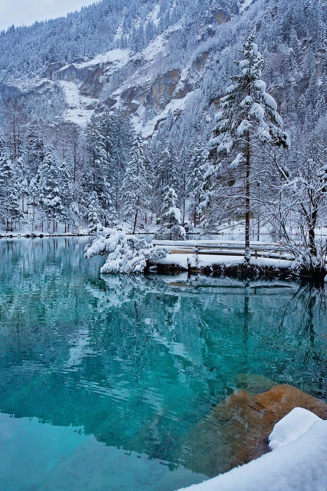 Обои озеро, снег, природа, лес, зима, пейзаж, lake, snow, nature, forest, winter, landscape разрешение 3840x2400 Загрузить