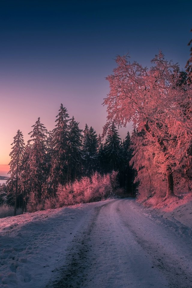 Обои дорога, деревья, вечер, природа, закат, зима, road, trees, the evening, nature, sunset, winter разрешение 2880x1800 Загрузить