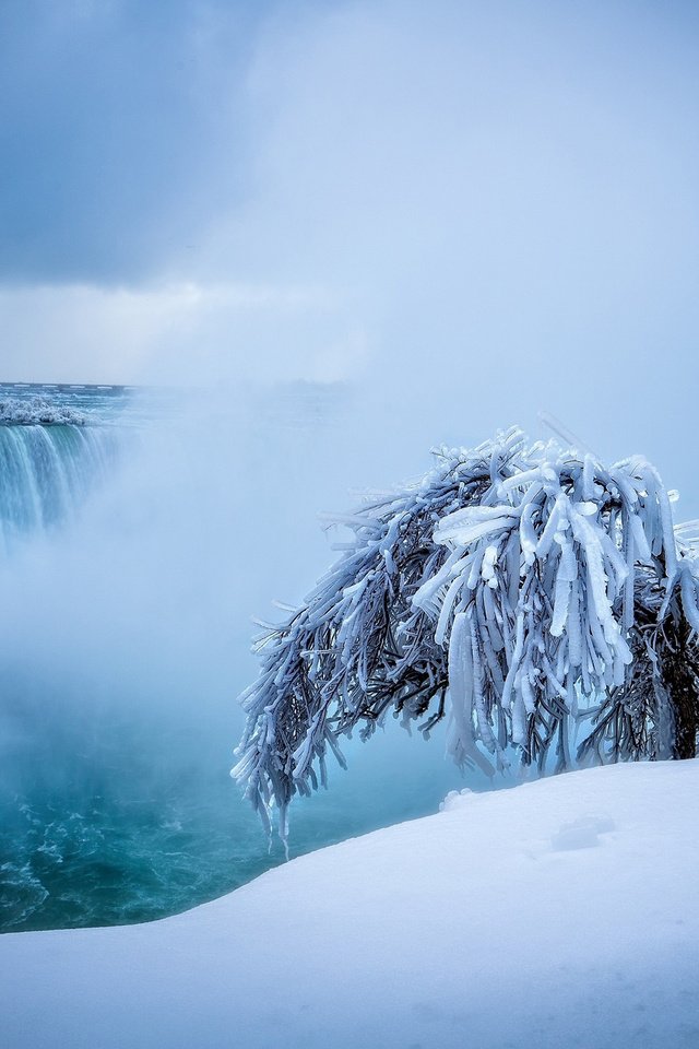 Обои снег, природа, дерево, зима, водопад, ниагарский водопад, snow, nature, tree, winter, waterfall, niagara falls разрешение 2560x1600 Загрузить