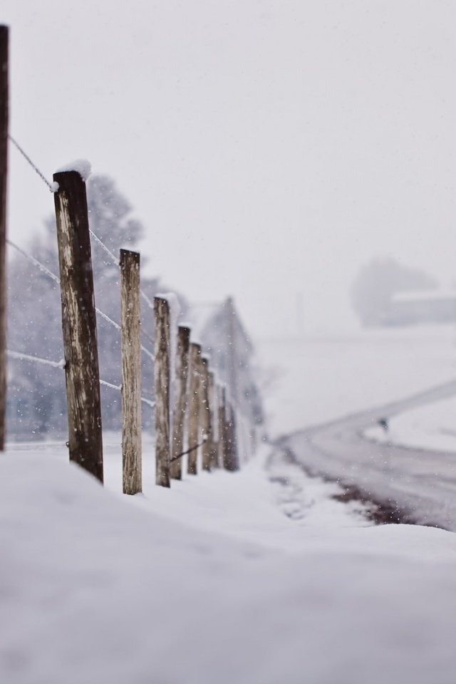 Обои дорога, снег, зима, макро, забор, road, snow, winter, macro, the fence разрешение 1920x1200 Загрузить
