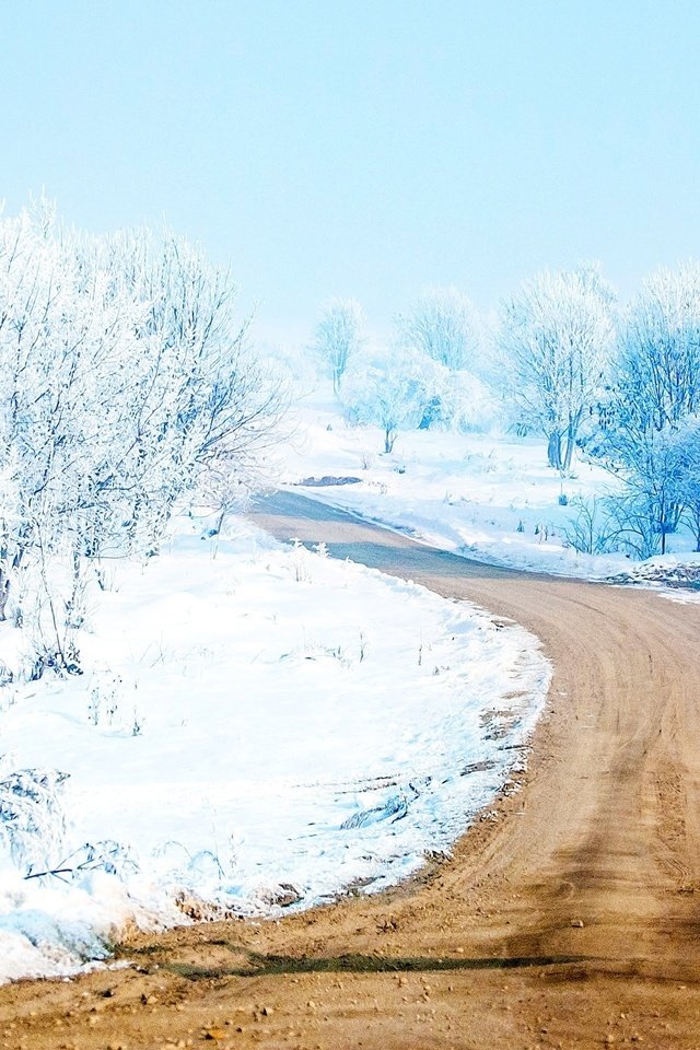 Обои дорога, деревья, снег, лес, зима, путь, road, trees, snow, forest, winter, the way разрешение 2560x1440 Загрузить