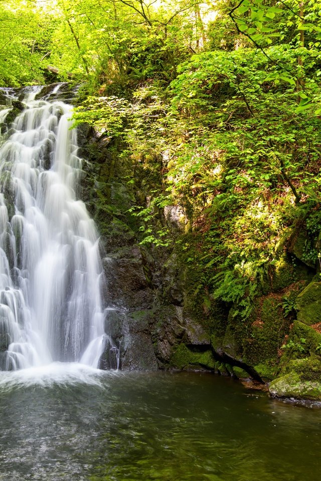 Обои деревья, вода, природа, камни, водопад, trees, water, nature, stones, waterfall разрешение 5472x3648 Загрузить