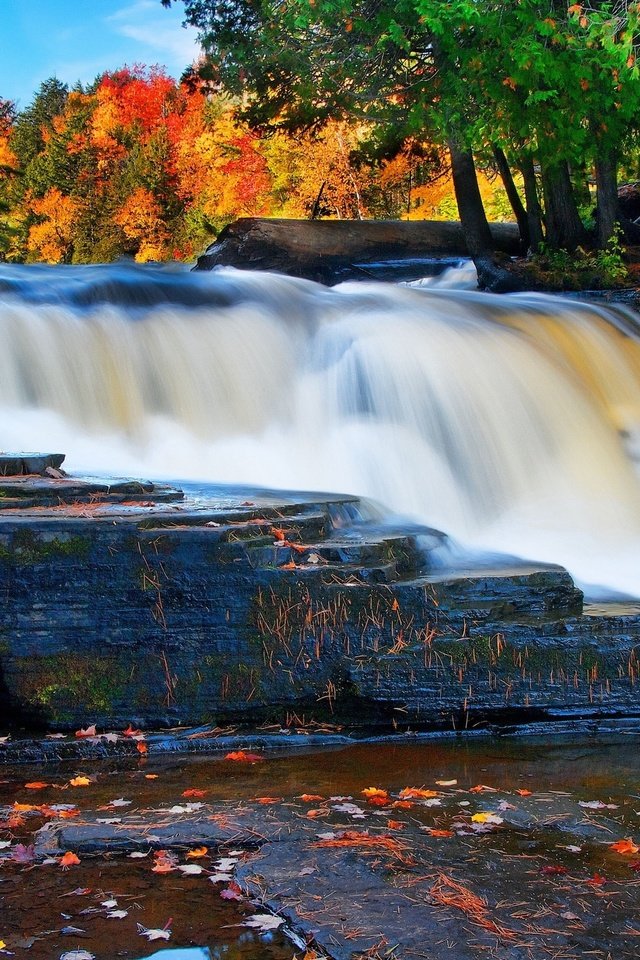 Обои лес, водопад, осень, forest, waterfall, autumn разрешение 2560x1600 Загрузить