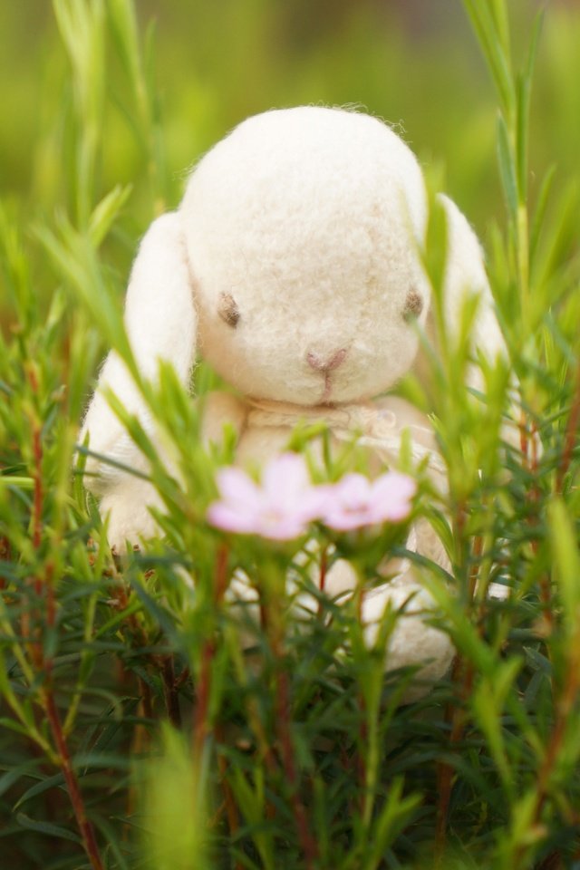 Обои цветы, трава, настроение, игрушка, кролик, зайка, flowers, grass, mood, toy, rabbit, bunny разрешение 3568x2368 Загрузить