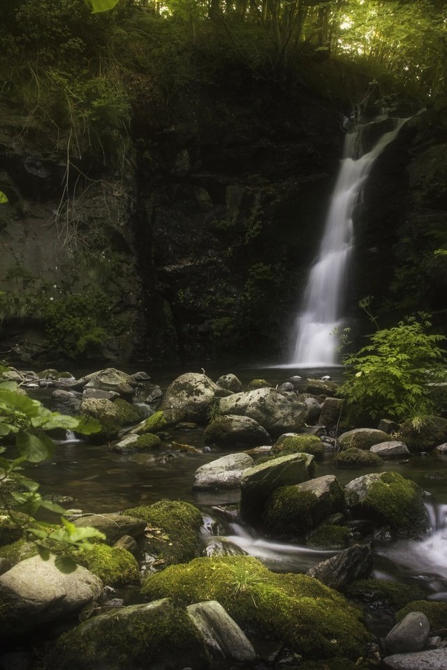 Обои вода, камни, водопад, мох, water, stones, waterfall, moss разрешение 4000x2667 Загрузить