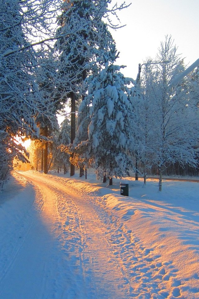 Обои дорога, снег, природа, лес, зима, утро, солнечный свет, road, snow, nature, forest, winter, morning, sunlight разрешение 1920x1200 Загрузить