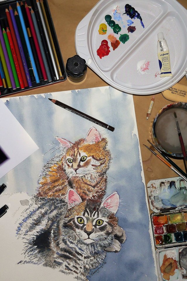 Обои рисунок, краски, карандаши, кошки, figure, paint, pencils, cats разрешение 3840x2400 Загрузить