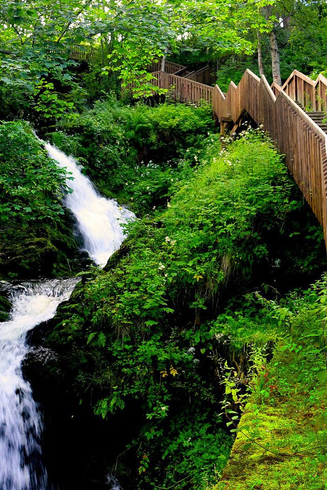 Обои лестница, водопад, поток, ущелье, норвегия, тронхейм, edoardo trabace, hiking in bymarka, ladder, waterfall, stream, gorge, norway, trondheim разрешение 1920x1200 Загрузить