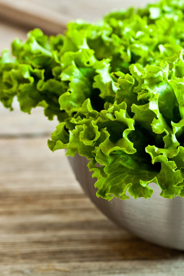 Обои еда, салат, миска, зеленый салат, food, salad, bowl, green salad разрешение 5616x3744 Загрузить