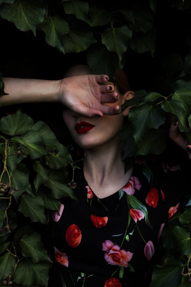 Обои листья, девушка, платье, листва, лицо, руки, mara saiz, leaves, girl, dress, foliage, face, hands разрешение 2048x1365 Загрузить