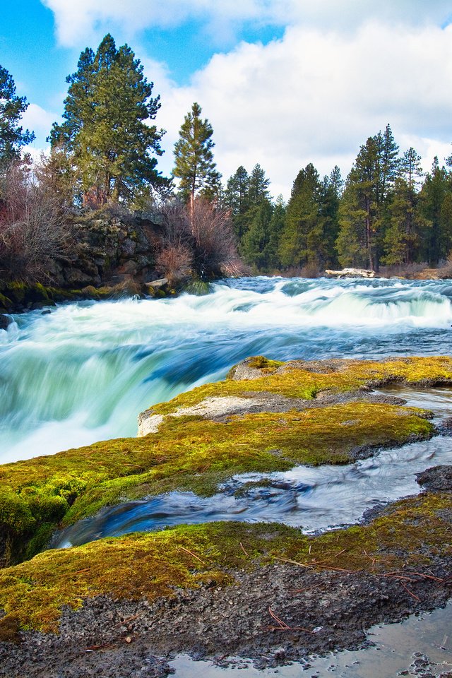 Обои небо, облака, река, камни, лес, поток, мох, the sky, clouds, river, stones, forest, stream, moss разрешение 2560x1700 Загрузить