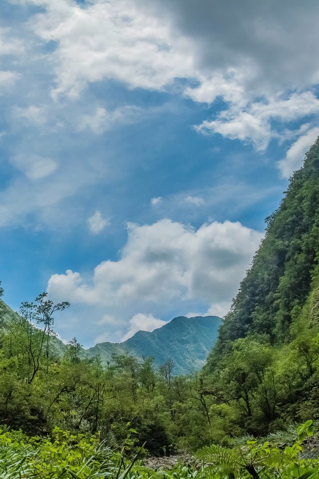 Обои небо, облака, деревья, гора, водопад, облака. растения, the sky, clouds, trees, mountain, waterfall, clouds. plants разрешение 4005x2375 Загрузить