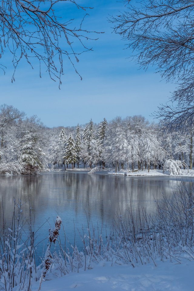 Обои озеро, штат массачусетс, снег, природа, дерево, зима, пейзаж, парк, сша, lake, massachusetts, snow, nature, tree, winter, landscape, park, usa разрешение 5763x3842 Загрузить