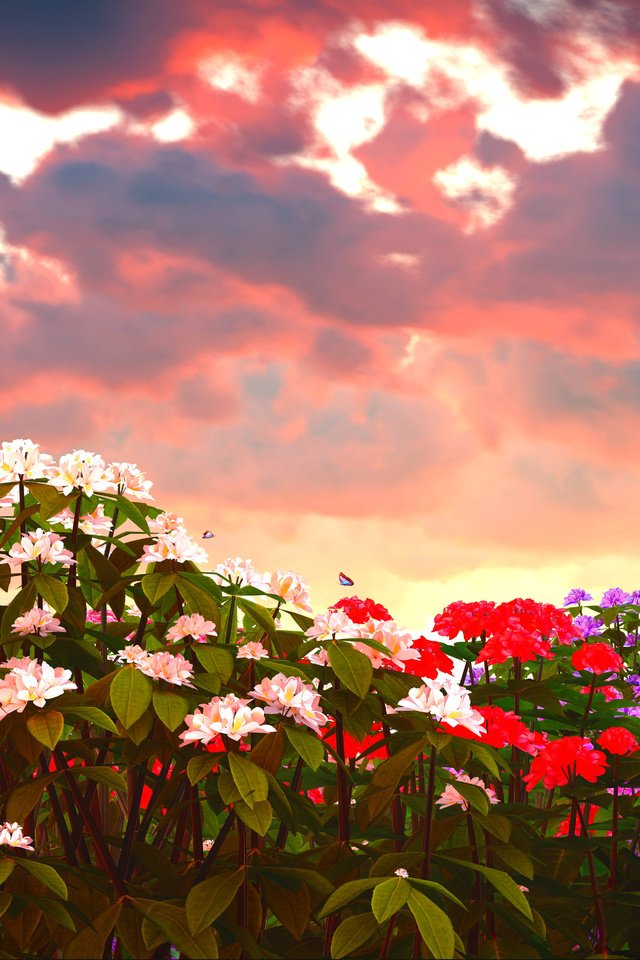 Обои цветы, облака, природа, закат, flowers, clouds, nature, sunset разрешение 6800x3825 Загрузить