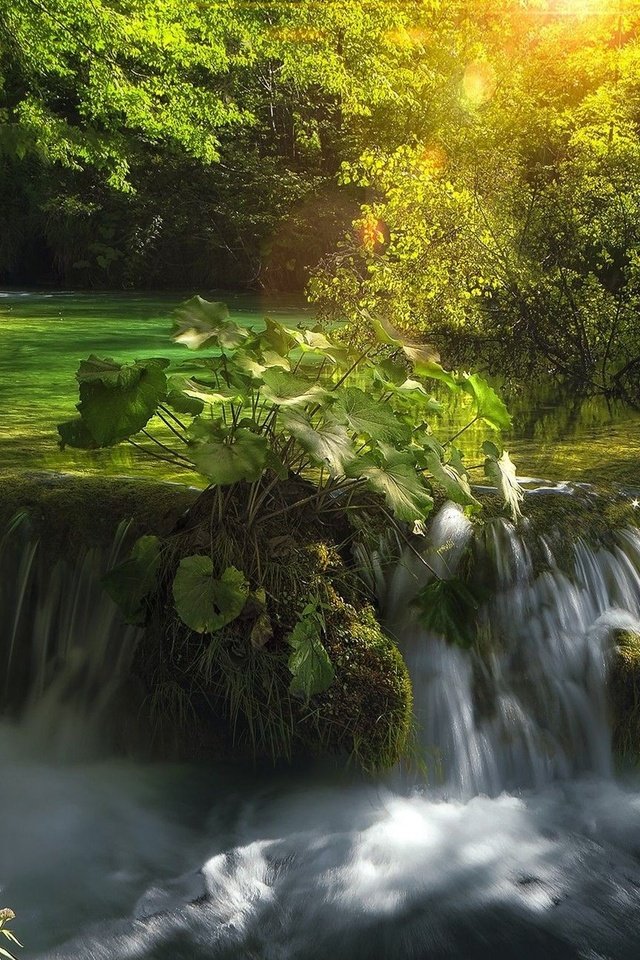 Обои река, природа, лес, водопад, хорватия, каскад, river, nature, forest, waterfall, croatia, cascade разрешение 2560x1618 Загрузить