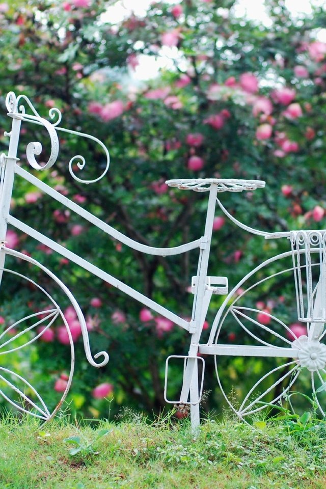 Обои цветы, трава, листья, фон, колеса, корзина, велосипед, flowers, grass, leaves, background, wheel, basket, bike разрешение 1920x1200 Загрузить
