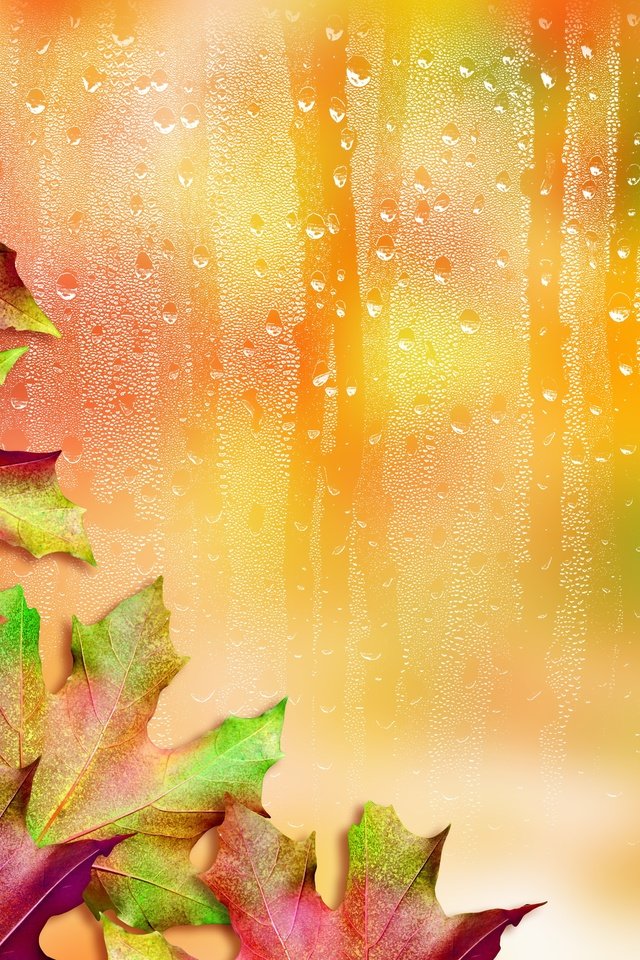 Обои листья, капли, осень, стекло, клен, кленовый лист, leaves, drops, autumn, glass, maple, maple leaf разрешение 2987x2985 Загрузить